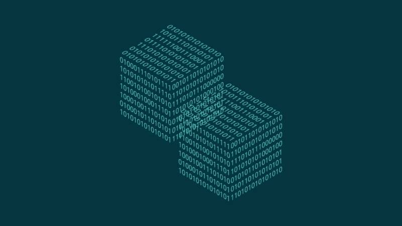 定远县信创改造：网络应用开发流程标准化的核心路径与实践